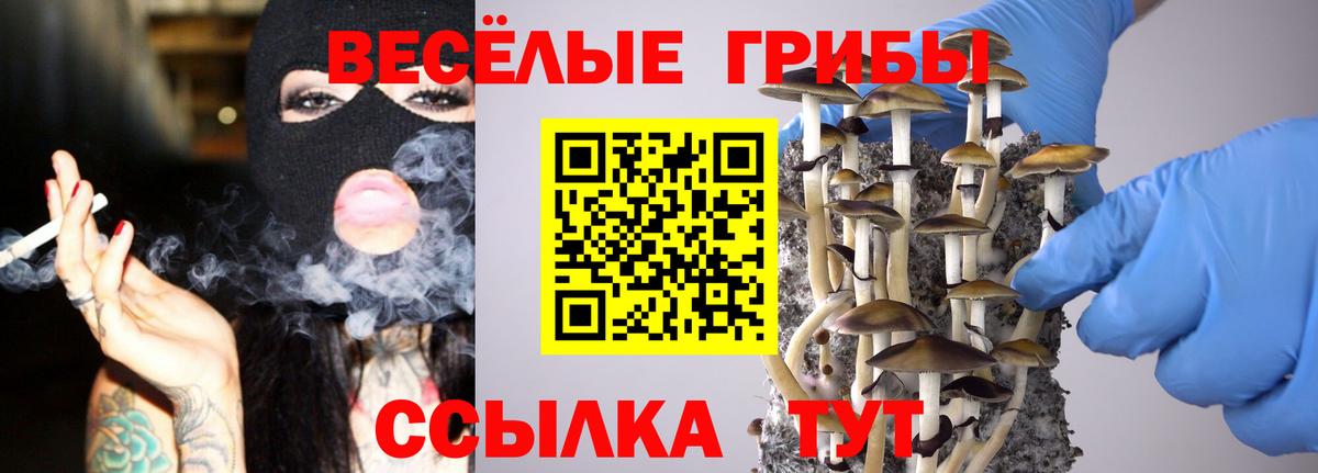 Псилоцибиновые грибы MAGIC MUSHROOMS Старая Купавна